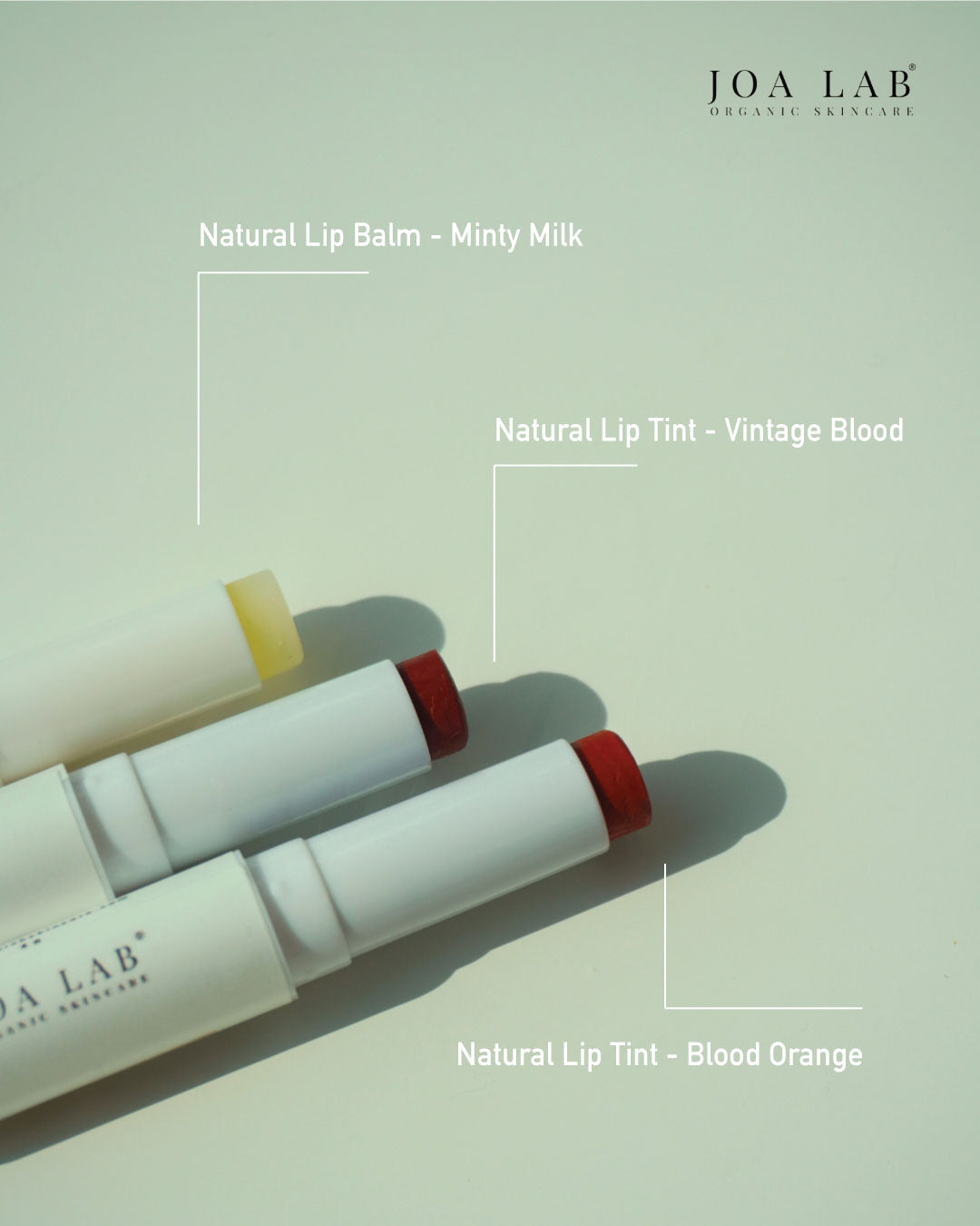 Earthen Lip Care Trio Set
